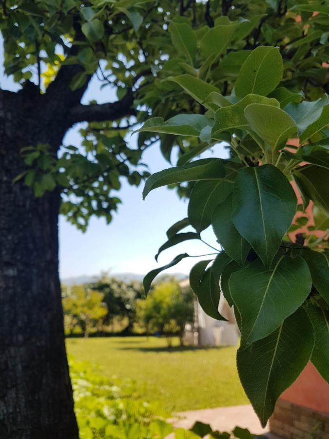 Appartamenti Ca'Melia Sarzana Zewnętrze zdjęcie
